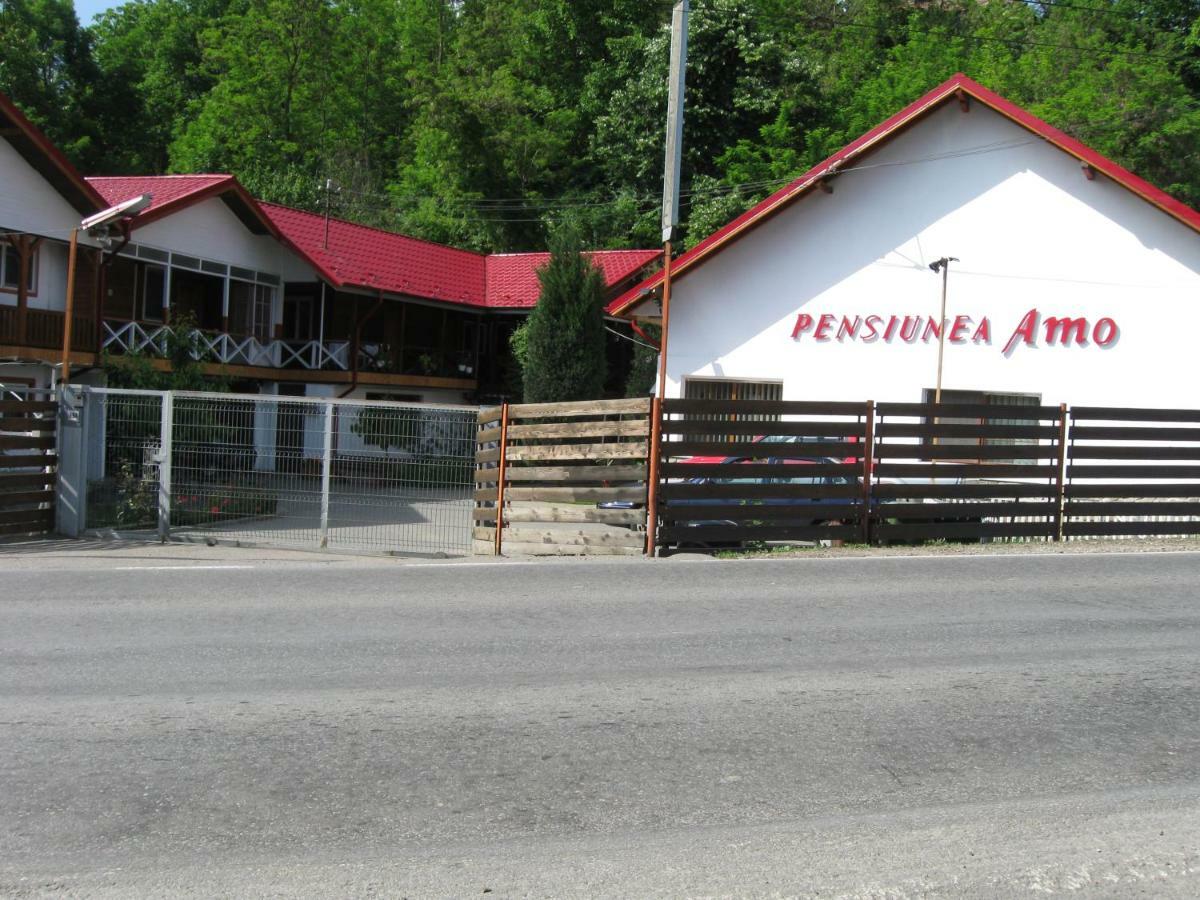 Pensiunea Amo Vălenii de Munte Zewnętrze zdjęcie