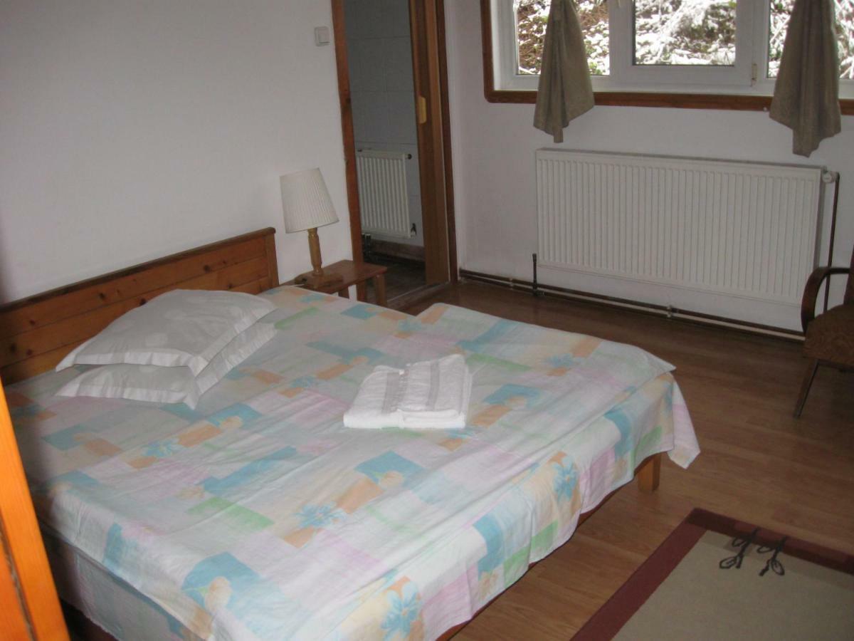 Pensiunea Amo Vălenii de Munte Zewnętrze zdjęcie